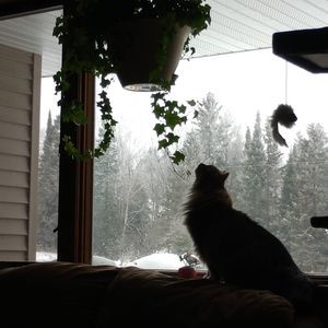 Meet your Posher, Jill